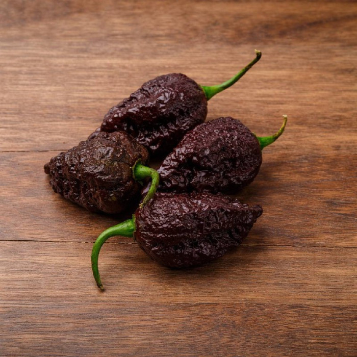 Apocalypse Chocolate семена 2025