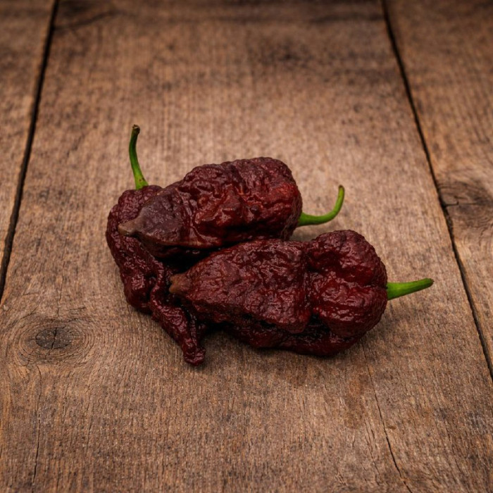 Big Mama Black рассада