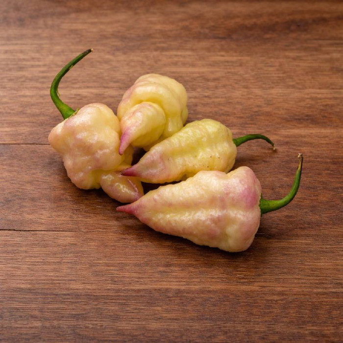 Jays x Pink x Reaper White семена 2025