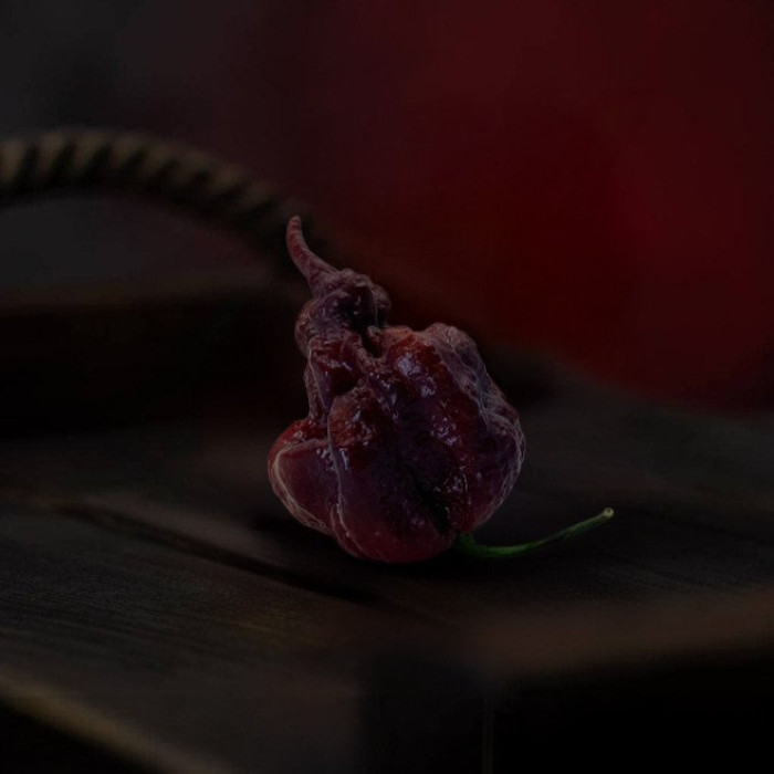 Carolina Reaper Chocolate насіння 2025