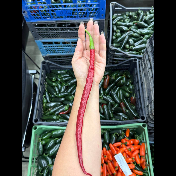 Cayenne Slim Long насіння 0