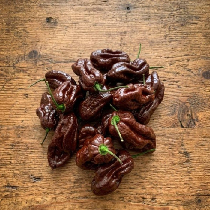 Trinidad Scorpion Chocolate свіжий перець 200 г