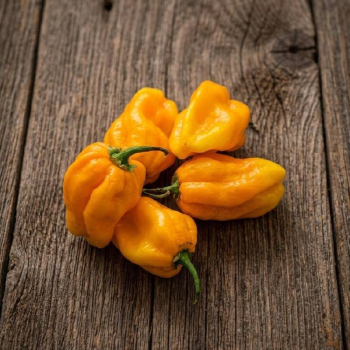 Habanero West Indian Yellow свіжий перець 200 г