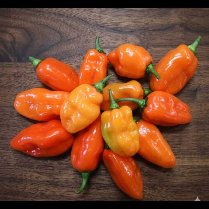Habanero Naranja Picante Orange свіжий перець 200 г