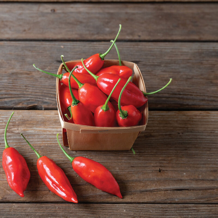 Habanero Lantern Red свежий перец 200 г