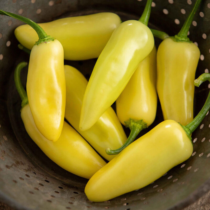 Jalapeno Arriba семена
