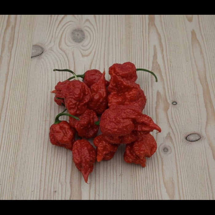 Death Red семена 2025