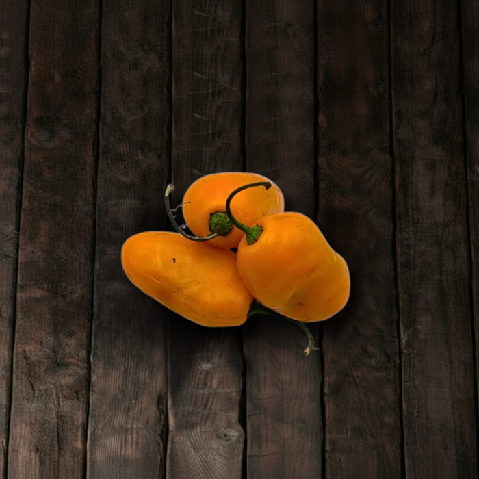 Rocoto Guatemalah Orange рассада