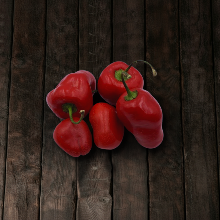 Rocoto Large Red семена 2025