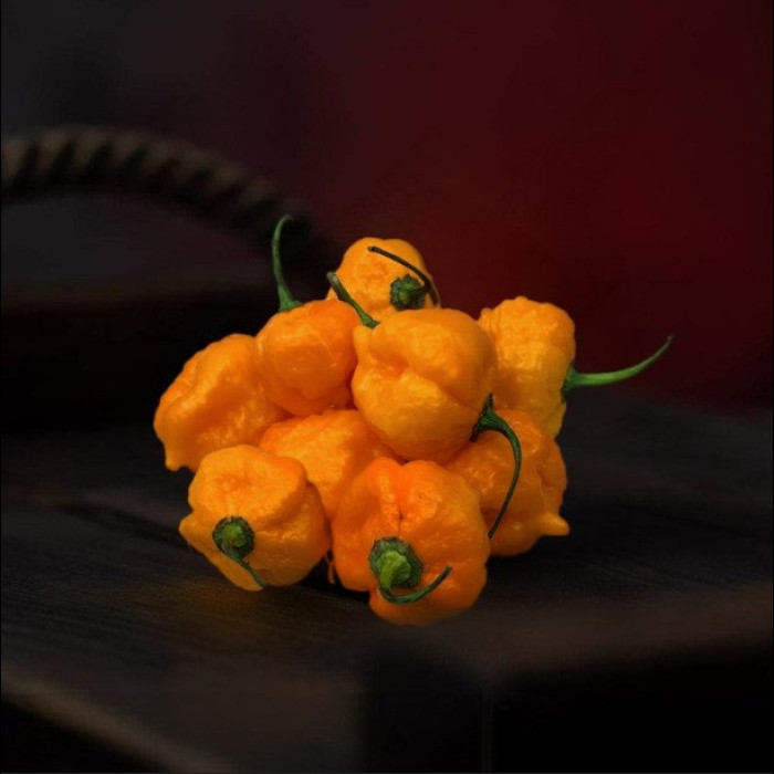 Scotch Brain Yellow насіння 2025