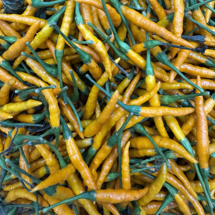 Tai Hot Orange сушений перець