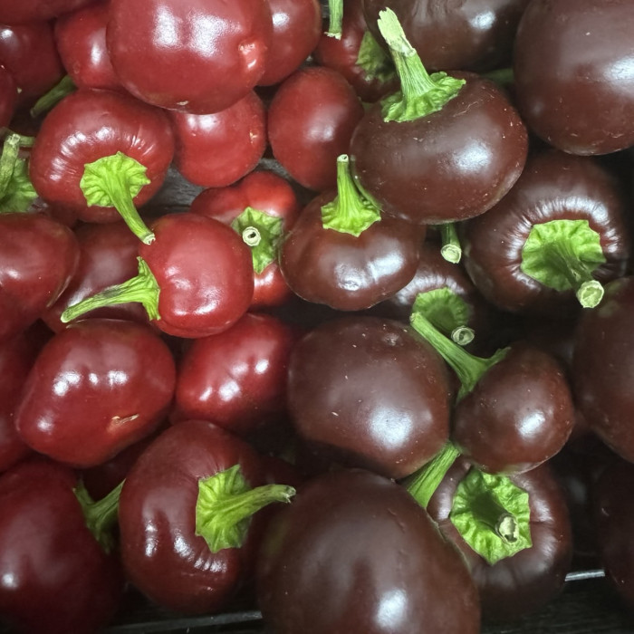 Assorti Cherry Red\Chocolate свежий перец