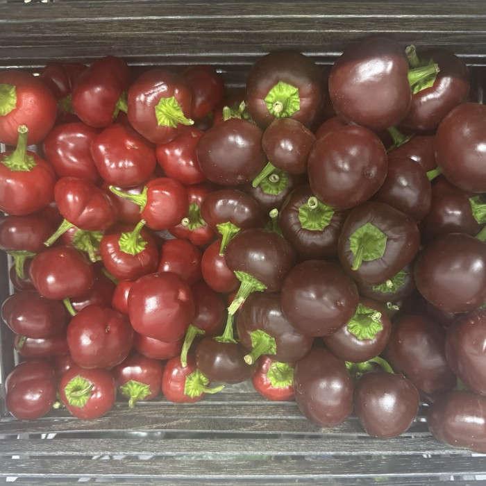 Assorti Cherry Red\Chocolate свежий перец 0