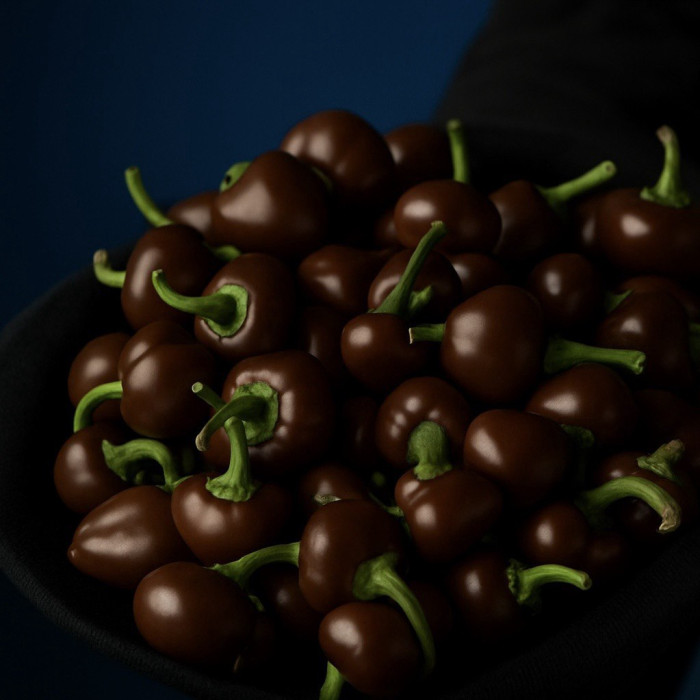 Cherry Chocolate свіжий перець