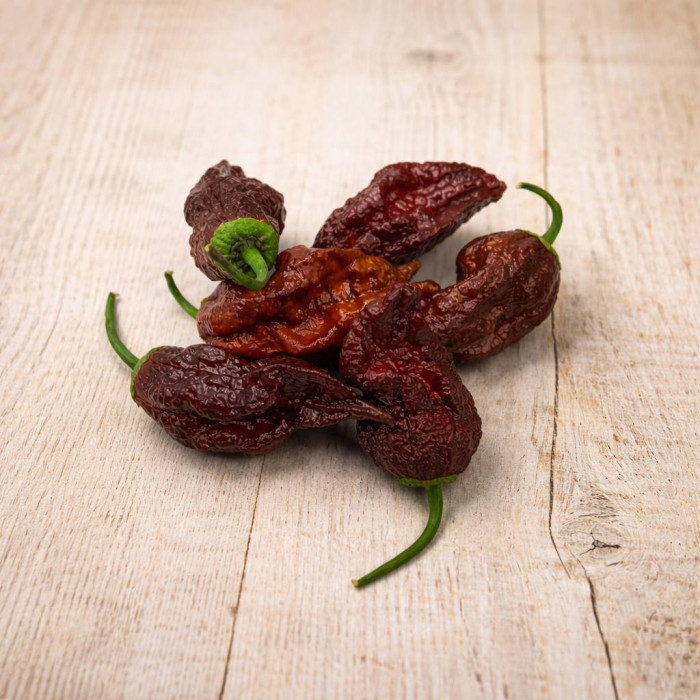 7 Pot Bubblegum Chocolate семена 2025