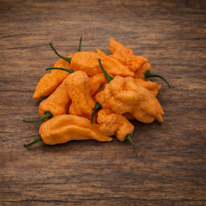 Bhut Jolokia Caramel семена 2025