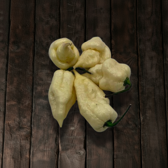 Bhut Jolokia White розсада