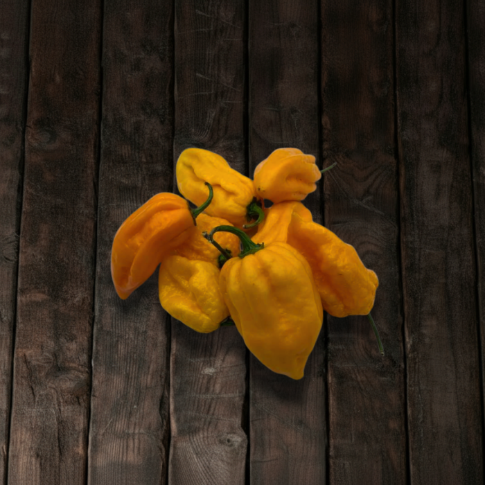 Bhut Jolokia Yellow семена 2025