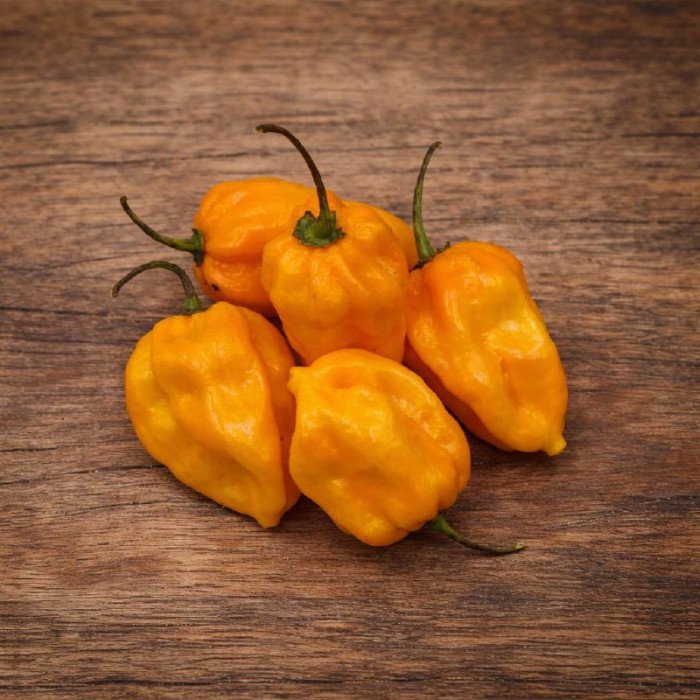 Habanero Big Sun Yellow семена 2025