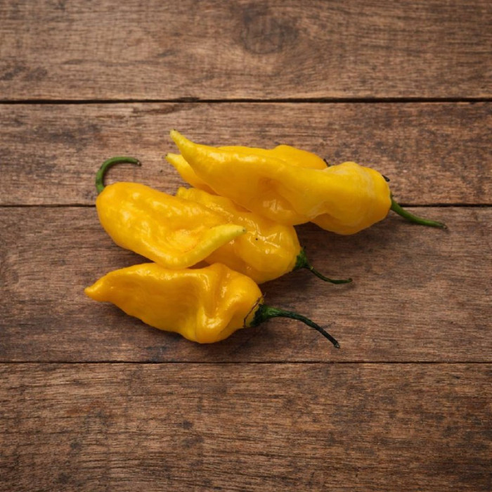 Habanero Hot Lemon семена 2025