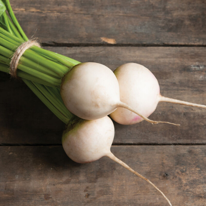 Avalanche насіння буряка