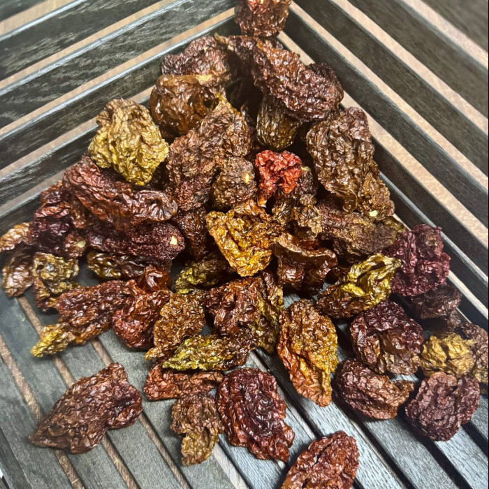 Moruga Scorpion Chocolate сушений перець