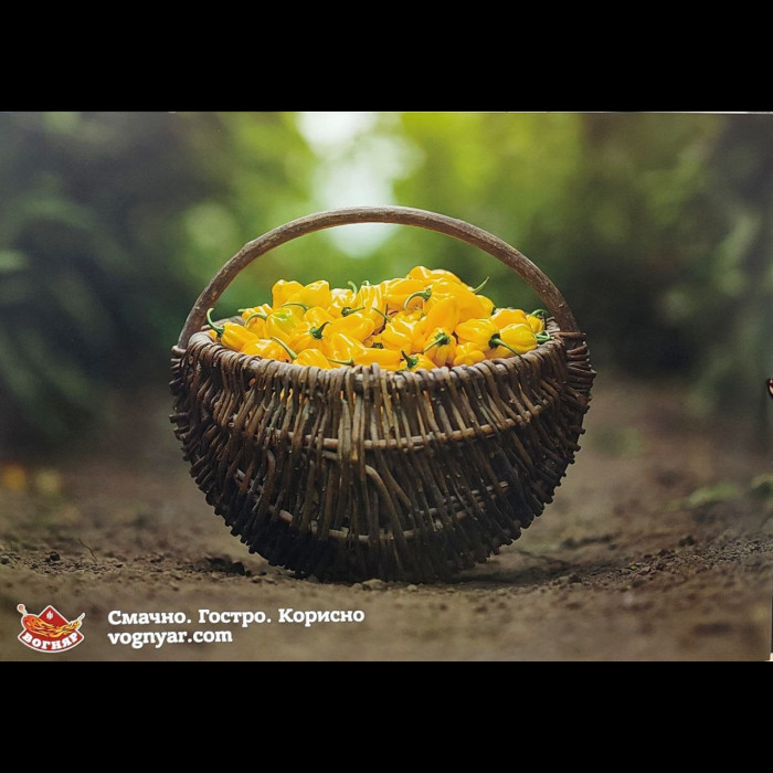 Постер "Настроение лета"